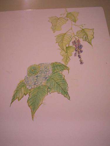 フジの花とアジサイをイメージ