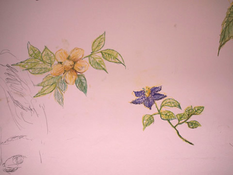 スケッチハイキングの記憶スケッチ