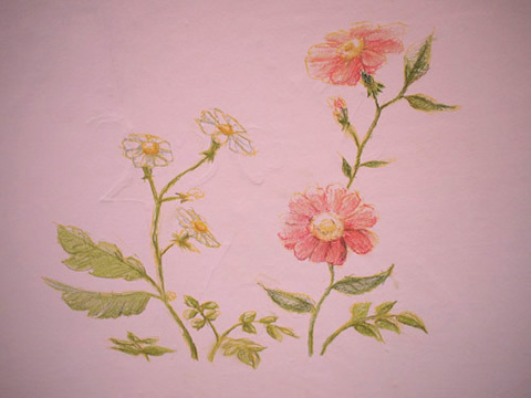 ガーベラと白い花